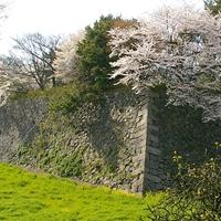 Dry stone wall, Moat and cherry blossom