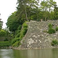 Dry stone wall and Moat