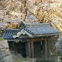 Ninomaru Ote-ninomon Gate