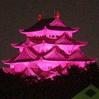 pink Nagoya Castle